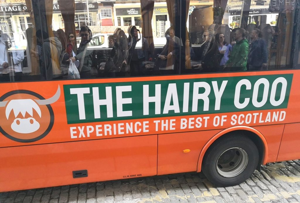 hairy coo tour company